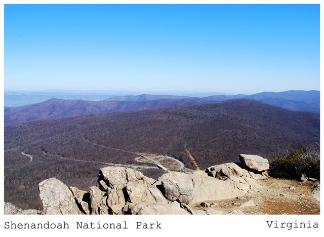 [DSC_0066 copy 2[5].jpg]